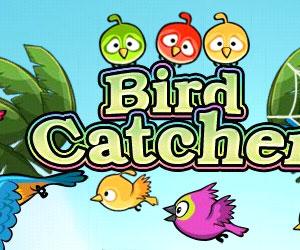 Angry Birds Catcher