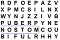 Euro 2004 Wordsearch