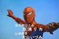 Japanska spindelmannen