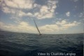 Skarp sväng med segelbåt – i sista sekund