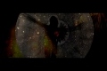 Dessie - Whatcha Got (Official Music Video)