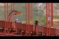 The Golden Gate Bridge Suicides ( Full Version: 1hr 34m )