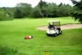 Man ska inte ligga på en golfbil!