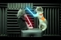 Jedi Katter Strike Back