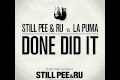 Still Pee & Ru - Done Did It (new album out now!)