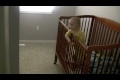 Småbarn avlägsnar övervakningen
