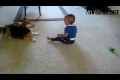 Dog play with cute baby WIN