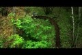 Life Cycles - Stance Films - OFFICIAL 2010 Mountain Bike Trailer 1080p