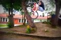 Danny Macaskill bike, Cyklar på träd