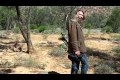 Hur man fångar en livs levande känguru