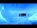 Pingvin golvas av isen
