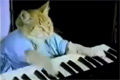 Usher vs Keyboard Cat