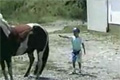Häst sparkar unge